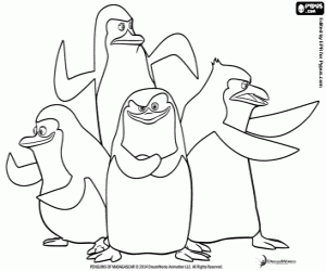 300x250 Penguins Of Madagascar Coloring Pages Printable Games
