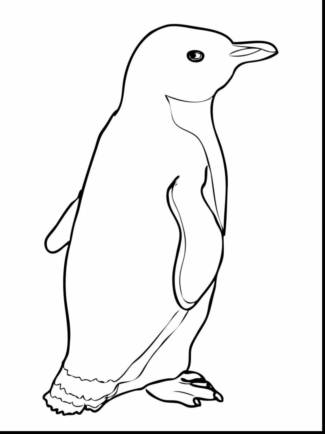 1126x1502 Astounding Coloring Pages Madagascar Penguins Pictures