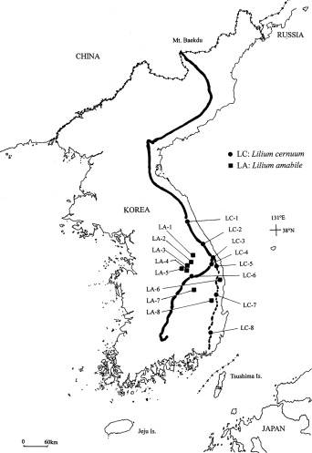 342x497 Were The Main Mountain Ranges In The Korean Peninsula A Glacial