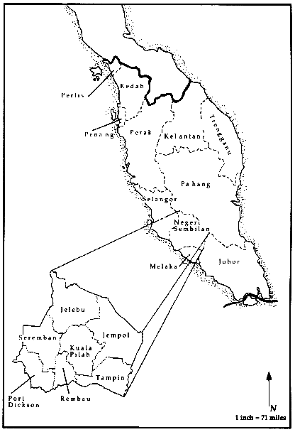 416x608 Olympic Peninsula