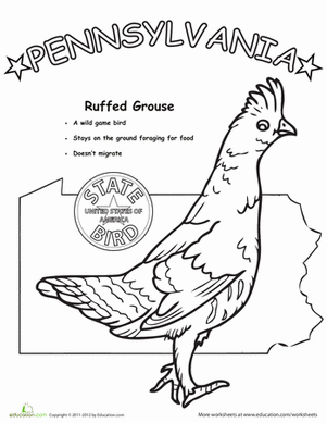 301x389 Pennsylvania State Bird Life Science, Pennsylvania And Worksheets