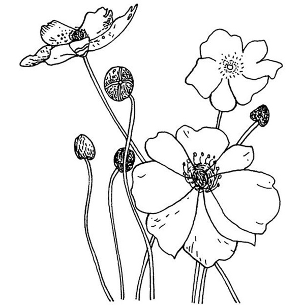 600x600 Penny Black Poppies Rubber Stamp