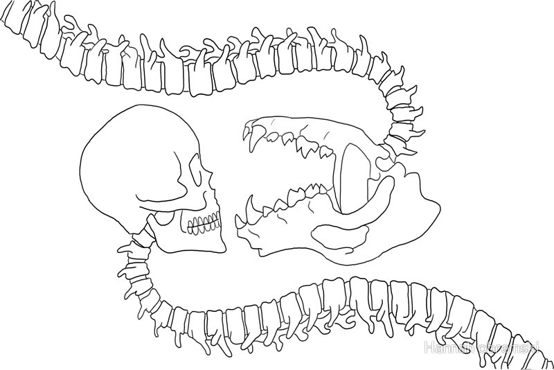 800x534 Penny Dreadful Posters By Hannah Obremski Redbubble