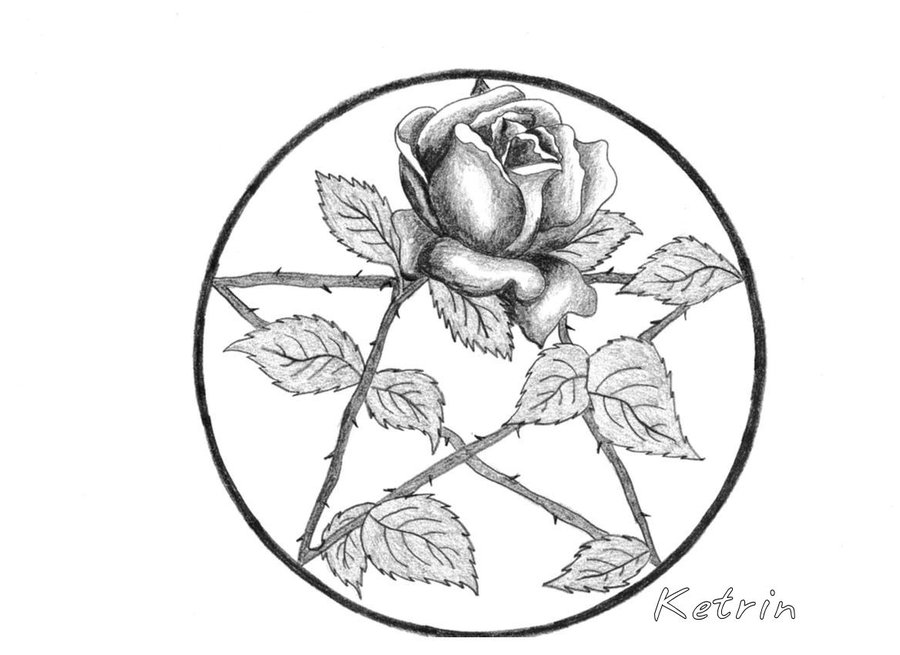 900x655 Pentacle Rose By Allcinna