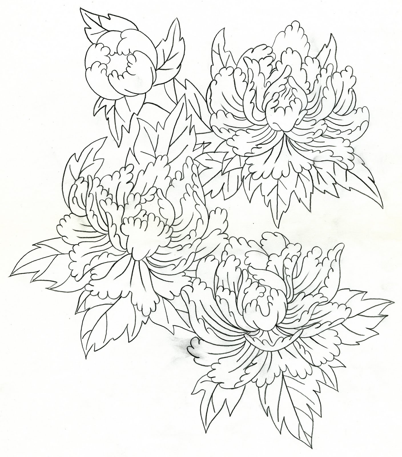 1408x1600 Drawn Peony Japanese