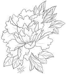 213x237 Pianese Flower Drawing Lovely Drawn Peony Line Drawing Pencil