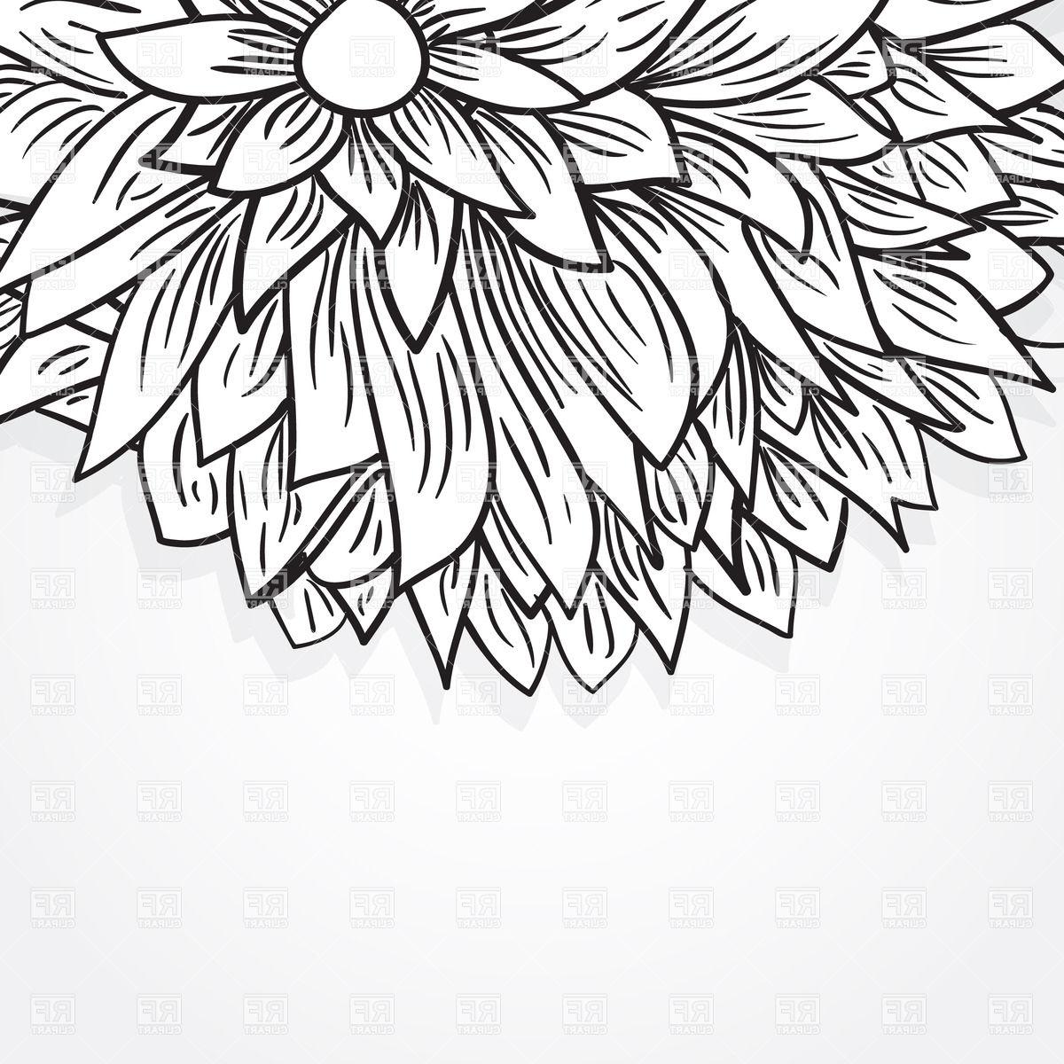 1200x1200 Top 10 Black Sketch Peony Flower Download Royalty Free Vector File