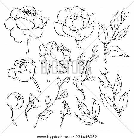 449x470 Simple Flower Outline Images, Illustrations, Vectors
