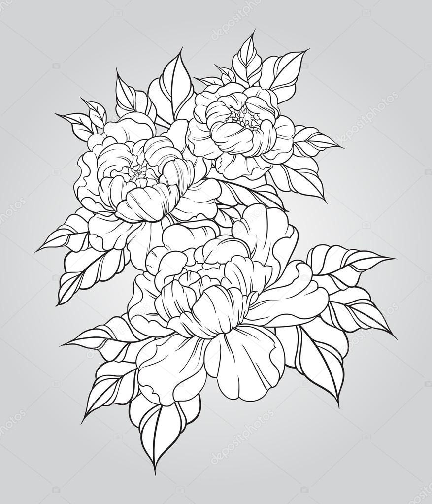 877x1023 Hand Drawn Peonies In Japanese Tattoo Traditional Style. Floral