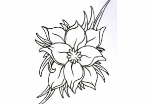 300x210 Black And White Flowers Tattoo Exiting Black And White Peony