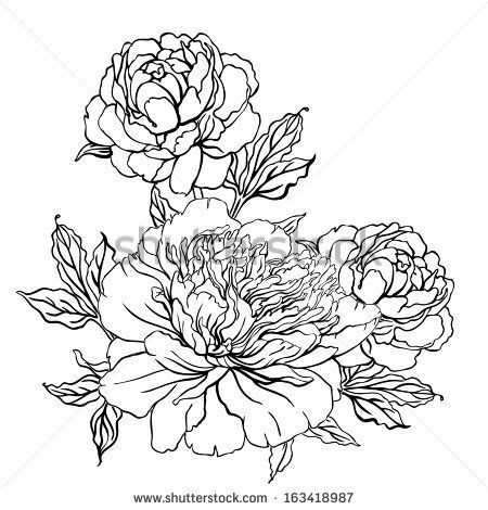450x470 Lovely Flower Background Tattoo Designs Peony Vintage Hand Drawing