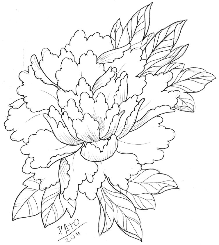 753x840 Lovely Japanese Peony Paintings, Tattoo Inspired Design But