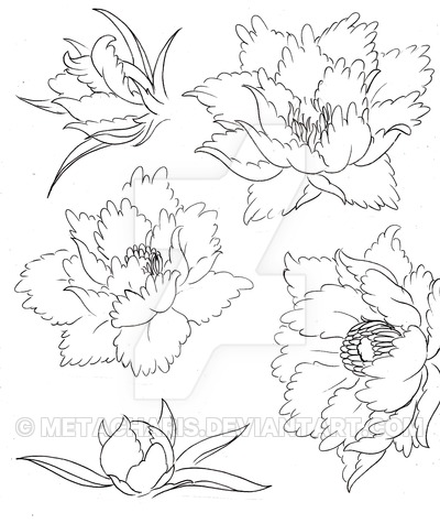 400x476 Peony Flower Tattoo By Metacharis