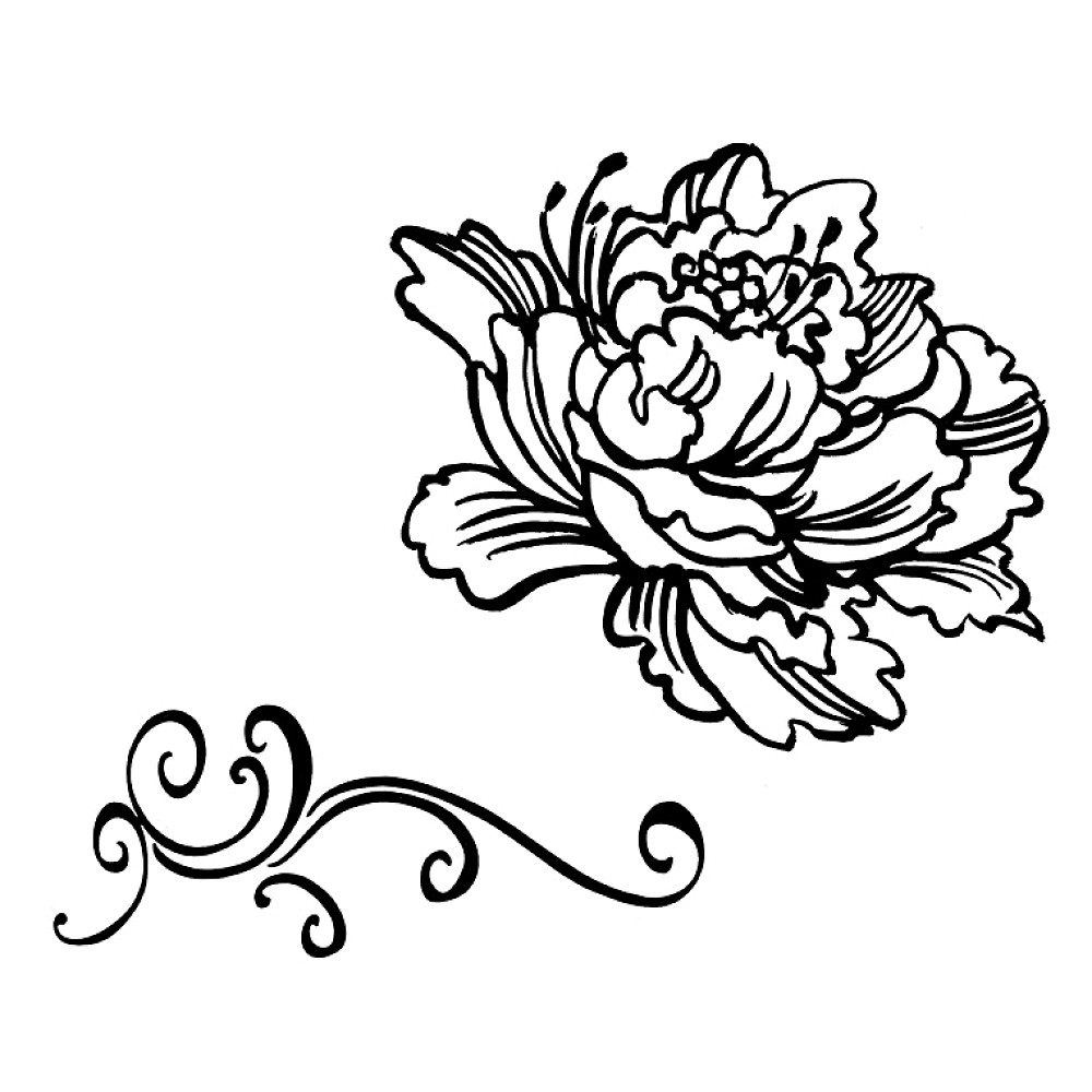 1000x1000 Peony Clip Art