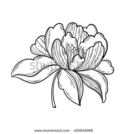 450x470 Drawn Peony Logo