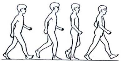 388x195 Correct Walking Is A Core Event