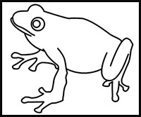 200x167 How To Draw Frogs Drawing Tutorials Amp Drawing Amp How To Draw