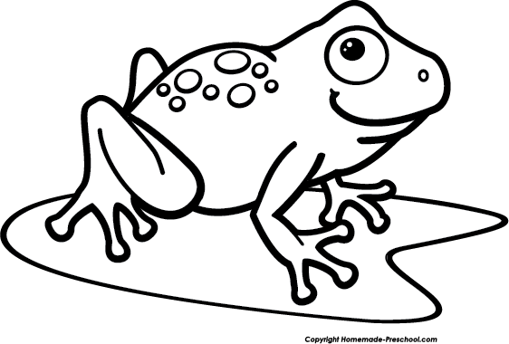 562x380 The Top 10 Best Blogs On Frog