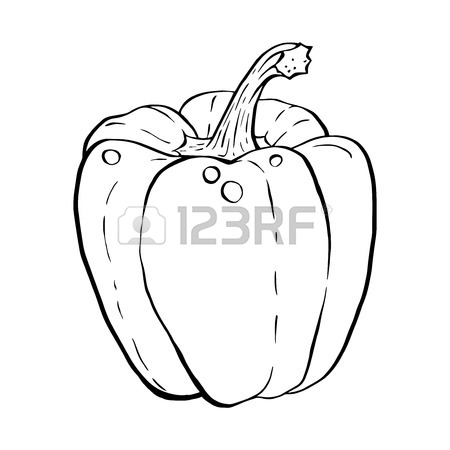 450x450 Outline Hand Drawn Sketch Of Paprika, Bell Pepper. Hand Drawn