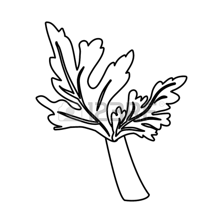 450x450 498 Peppermint Garden Cliparts, Stock Vector And Royalty Free