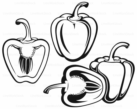 570x456 Peppers Svg Clipartvegetables Svgpeppers Silhouettepeppers