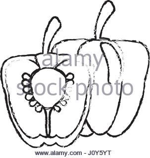 303x320 Bell Pepper Sketch Stock Vector Art Amp Illustration, Vector Image