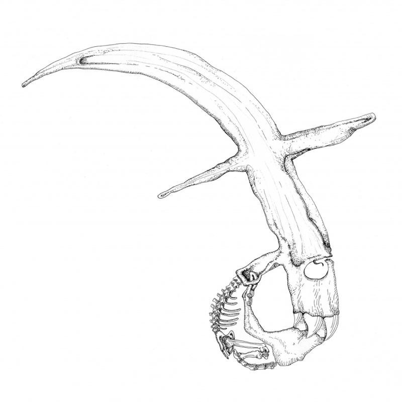 800x800 Greatness Challenge Winners