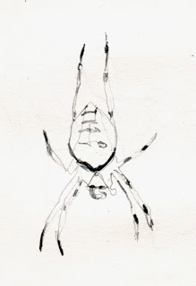 219x320 Pencil Drawing