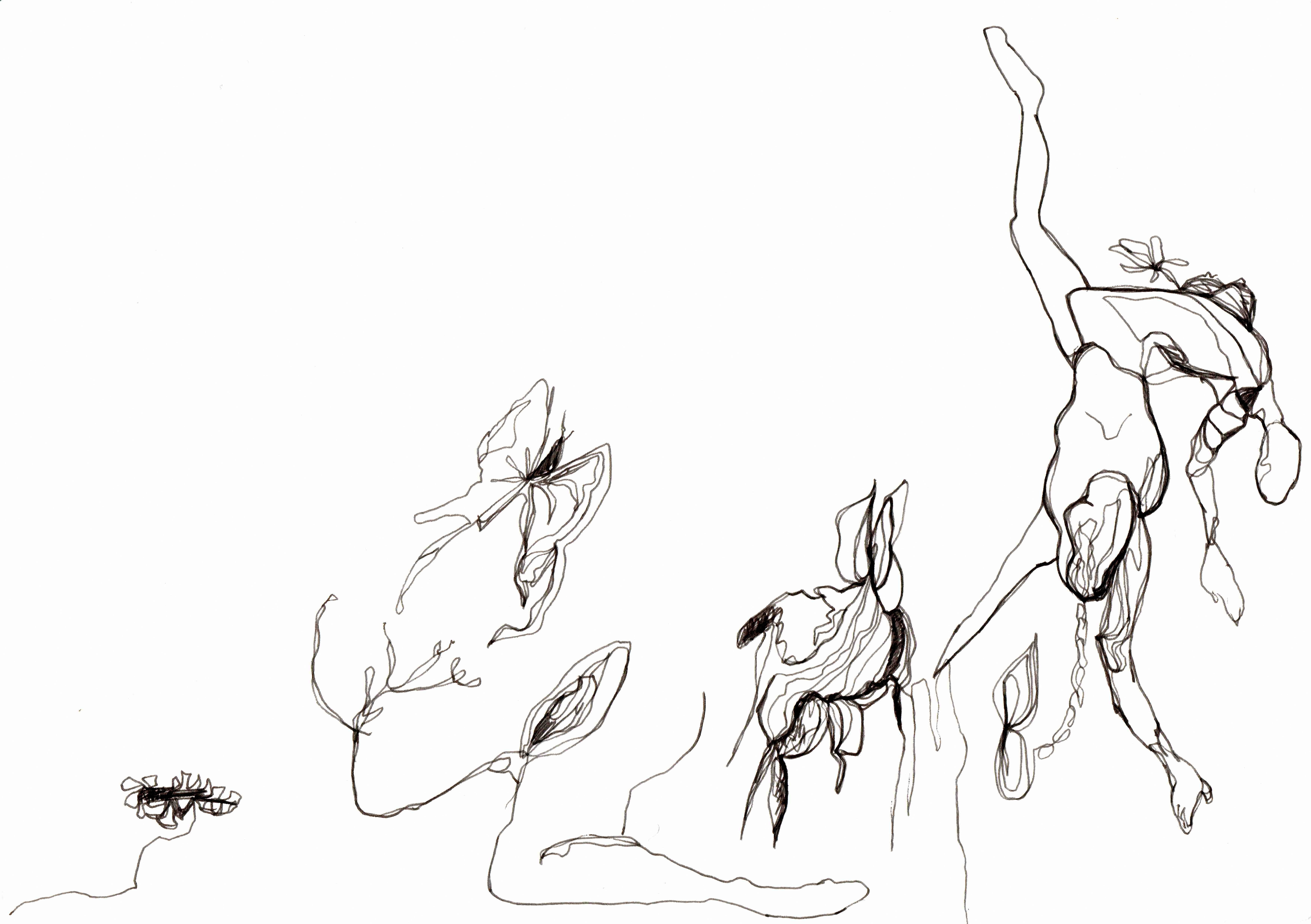 6969x4912 Limn Reveries', 2014, Drawingperformanceinstallation Kelise
