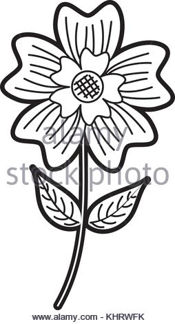 254x470 Periwinkle Flower Petal Leaves Stem Nature Plant Stock Vector Art