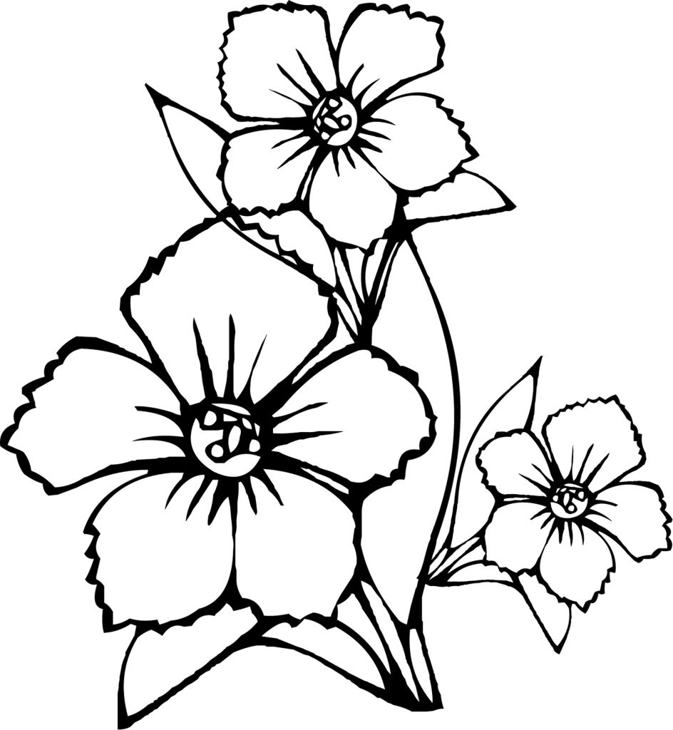 944x1024 Pretty Flowers Coloring Page Drawings Pretty