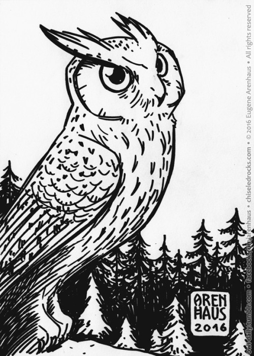 500x699 Sharpie Owl Tumblr