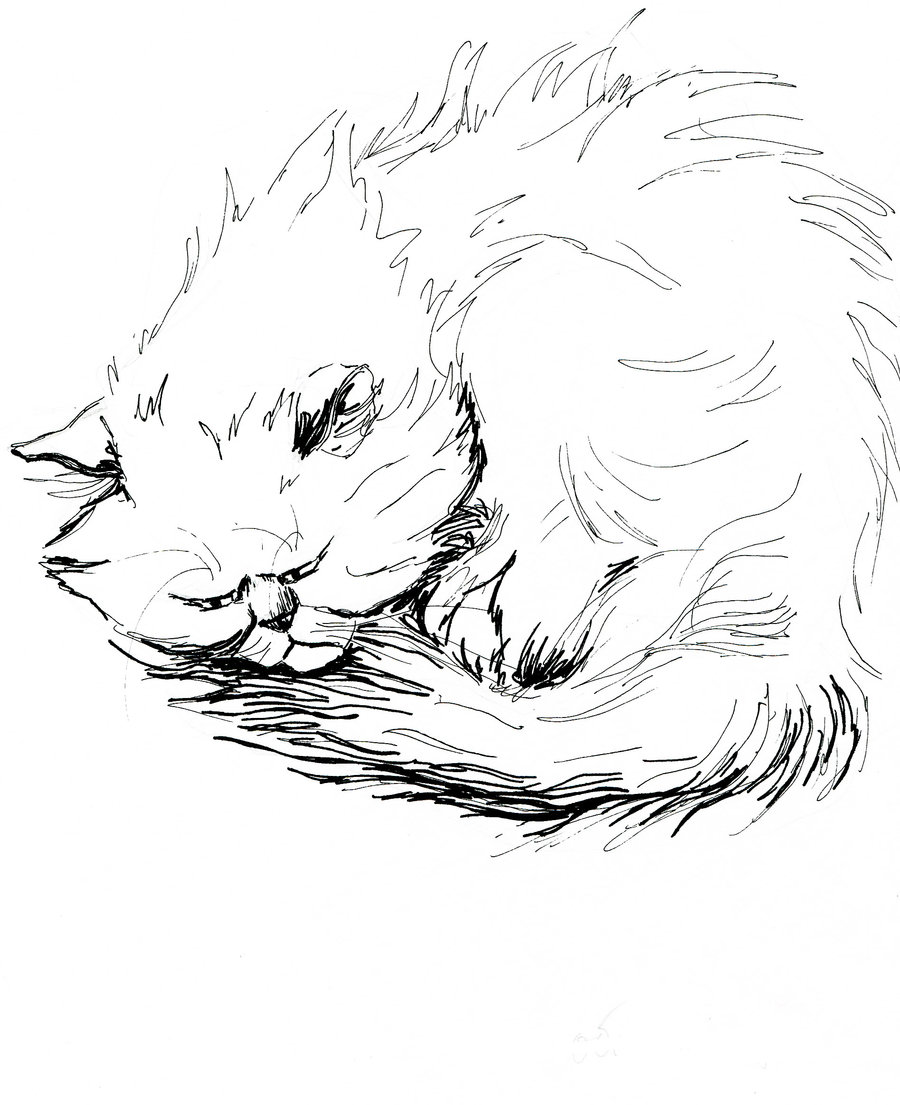 900x1105 Sad Persian Cat By Greengidra
