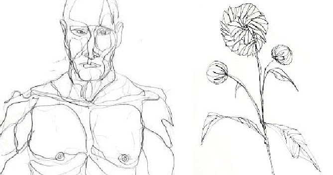 669x352 Drawing Foundations Contour Line Drawing