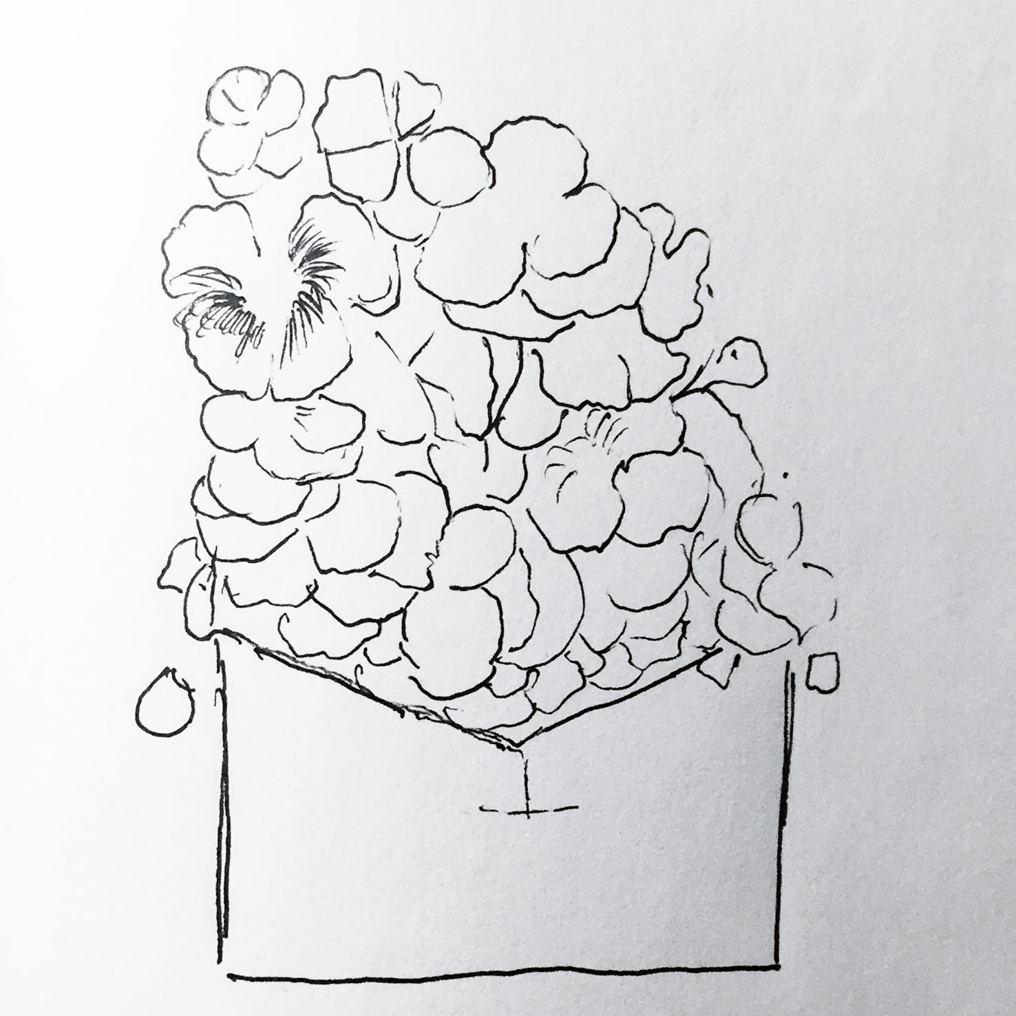 1476x1476 Find Love In Expression (Step By Step Drawing) And My Personal