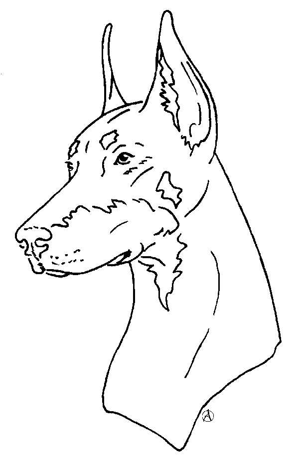 600x943 Order A Personalized Pet Memorial Stone