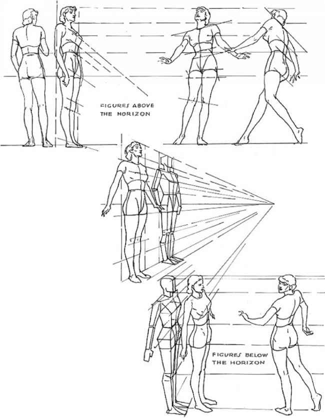 650x836 Perspective In The Figure