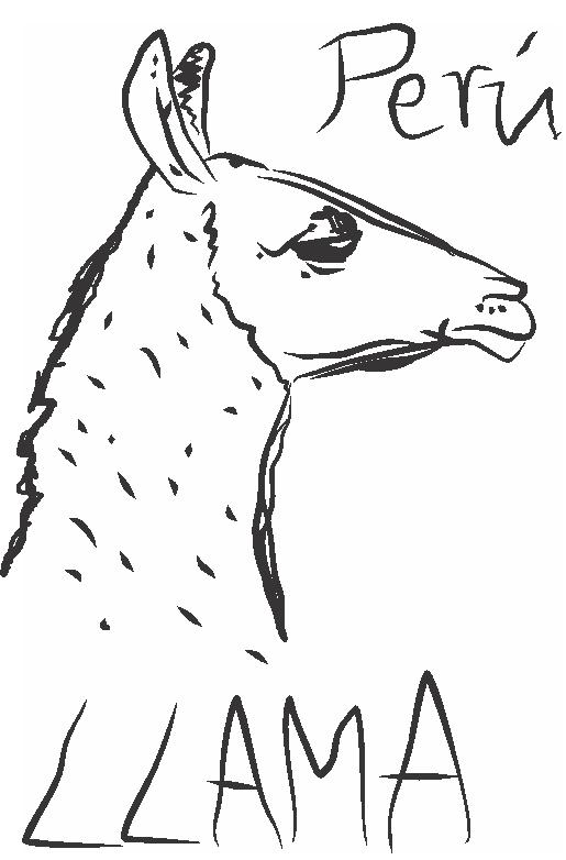 515x782 Peruvian Llama By Blockinclass