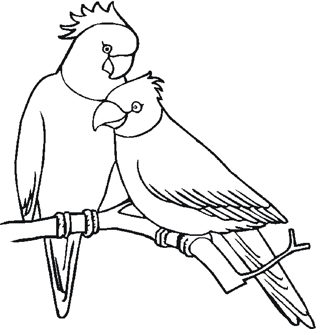 630x657 Free Pet Coloring Pages