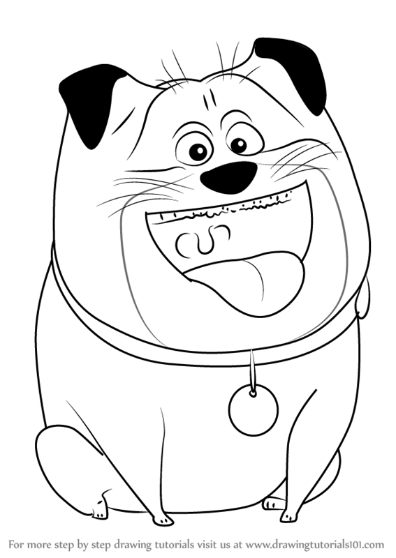 567x800 The Secret Life Of Pets Coloring Page Robertleboutheller@gmail