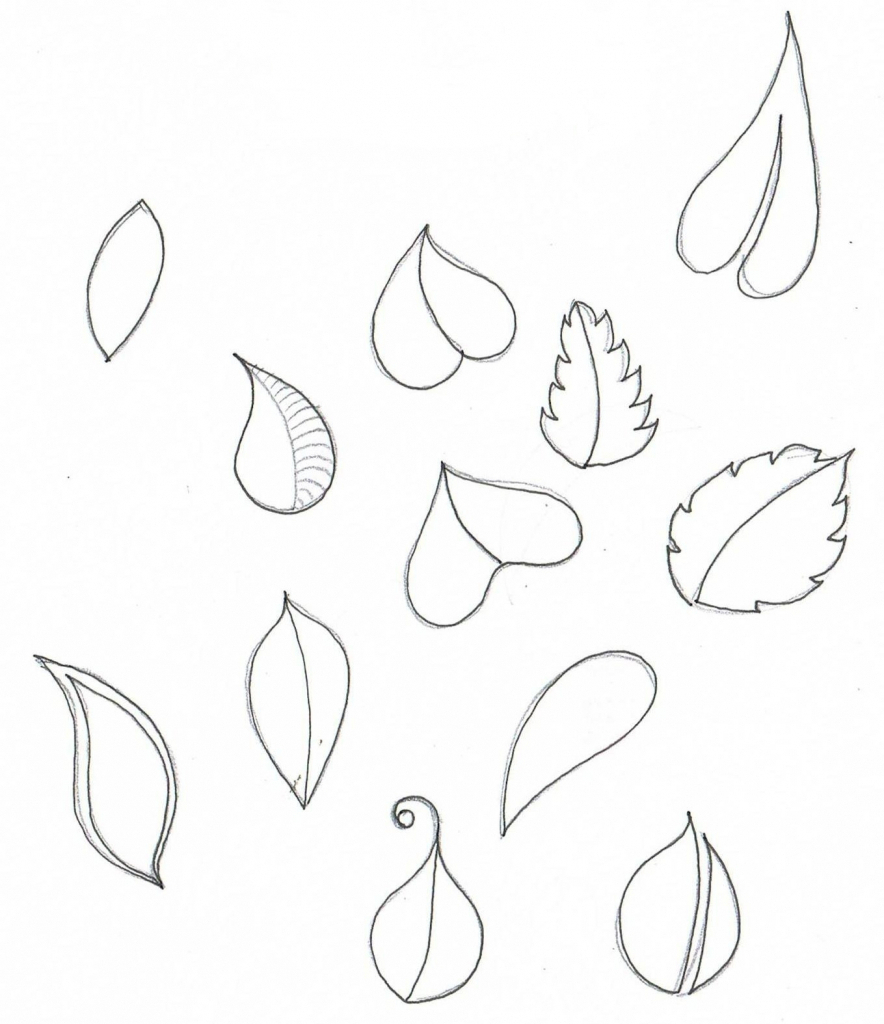 884x1024 Flowers Petals Drawing