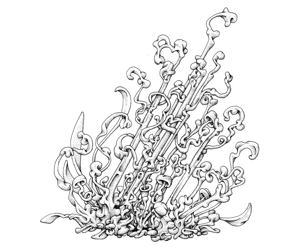 1000x838 I Like Drawing Peter Draws