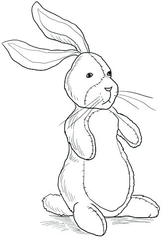 339x480 White Rabbit Color Book Plus Rabbit Color Pages Coloring Pages