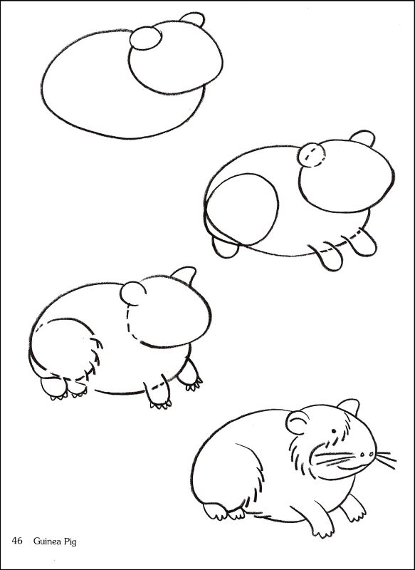 583x800 How To Draw Pets (022358) Details