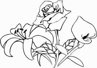 400x280 Beautiful Flower Coloring Pages With Delicate Forms Of Natural
