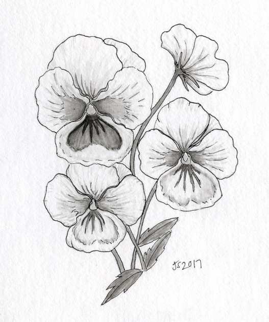 527x630 Jennifer Schiano Studio Flowers