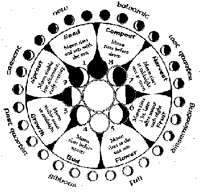 Phases Of The Moon Drawing at GetDrawings | Free download