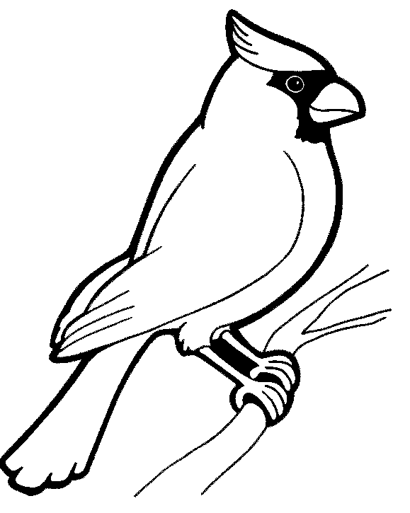 579x725 Pheasant Coloring Pages Bird Coloring Pages