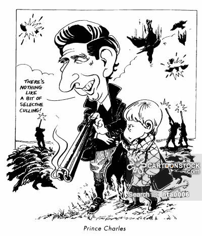 400x468 Pheasant Hunting Cartoons And Comics