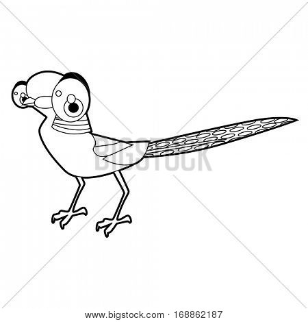 450x470 Pheasant Images, Illustrations, Vectors
